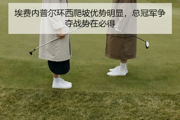 ai-fei-nei-pu-er-huan-xi-pa-po-you-shi-ming-xian-zong-guan-jun-zheng-duo-zhan-shi-zai-bi-dei-2-519.jpg